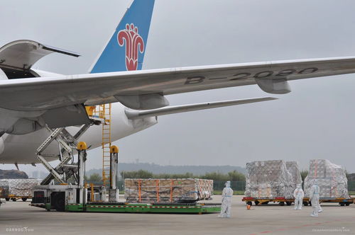 南航快運 等國際產(chǎn)品上線 助力航空物流提速