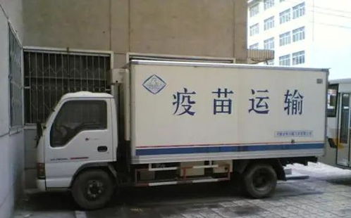 市場規模超4000億,生鮮電商加速冷鏈物流擴張,發展前景如何