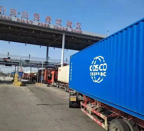 外高橋保稅區 承接全國近七成進口血透產品，物流企業構筑生命通道